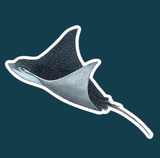 Eagle Ray