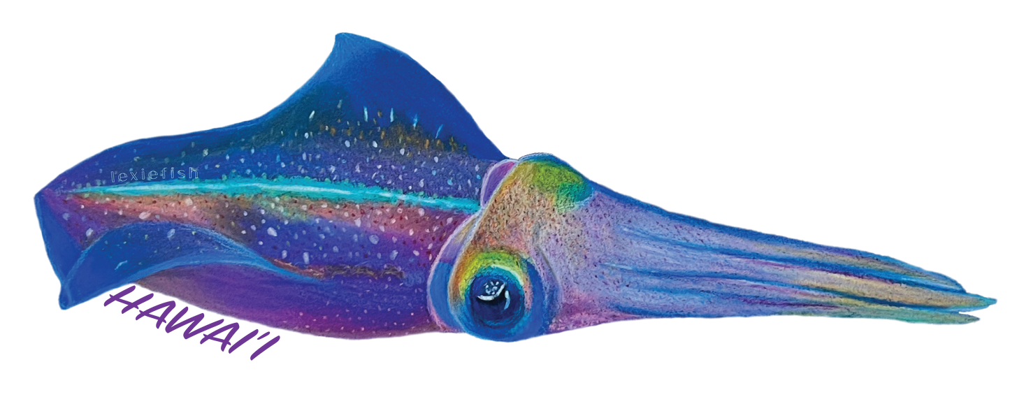Squid