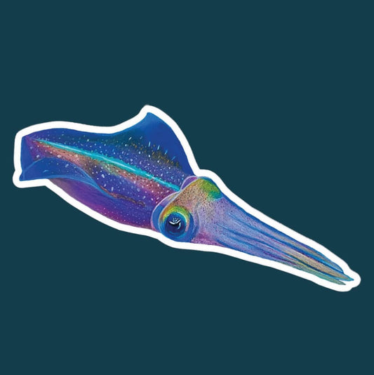 Squid