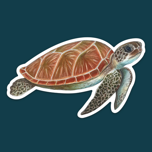 Honu