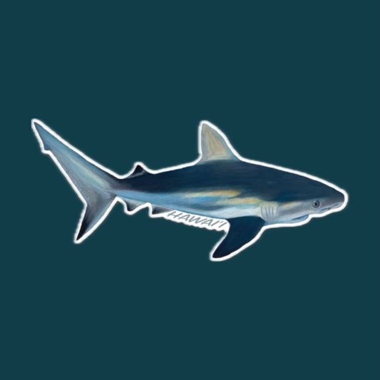 Reef Shark