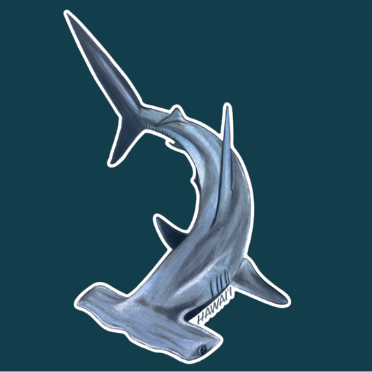 Hammerhead Shark
