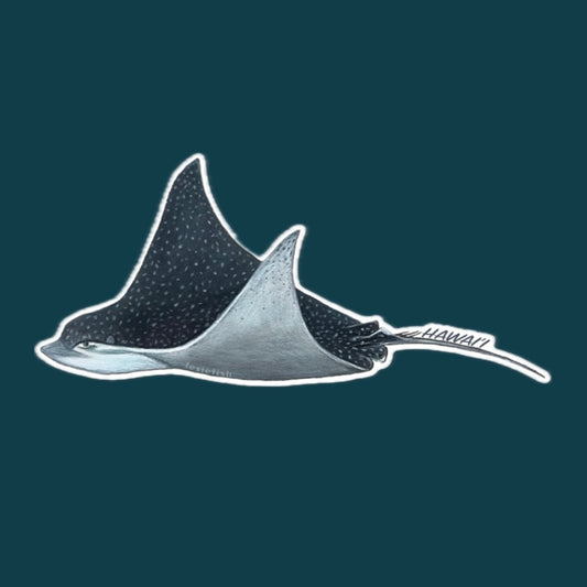 Eagle Ray