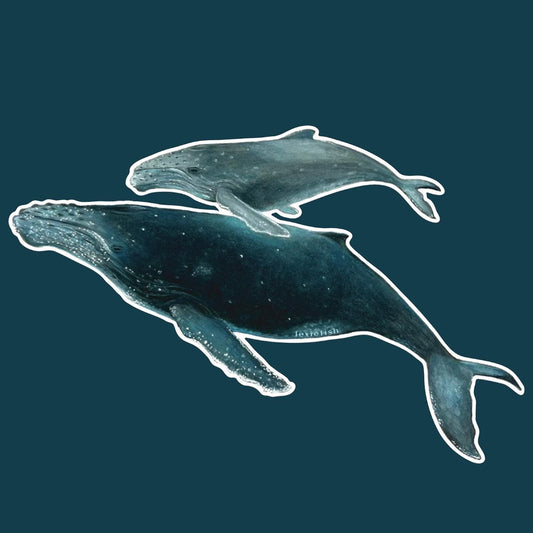 Humpbacks