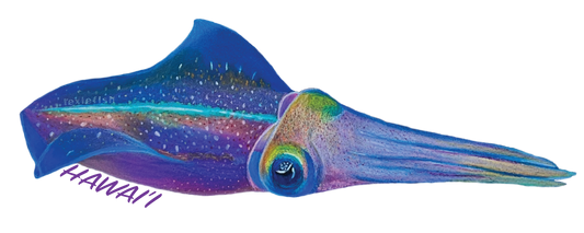 Squid