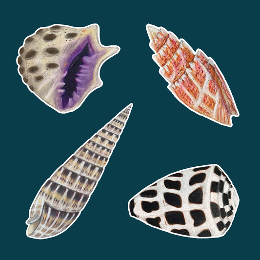 Shell Bundle